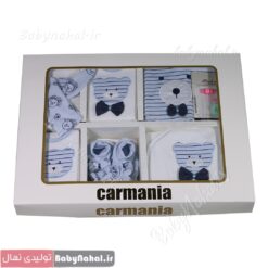 19 تيكه پنبه گلدوزي خرس راه راه (AD) كد 10532